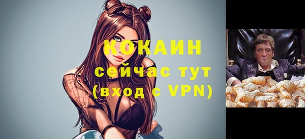 твердый Белоозёрский