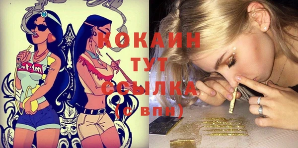 кокс Белокуриха