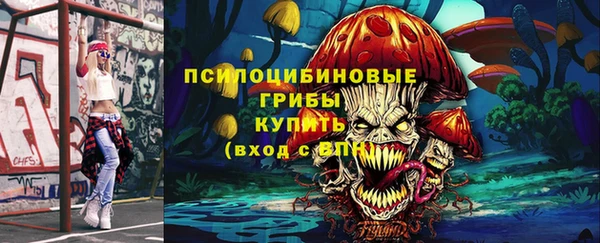 apvp Беломорск