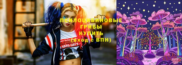 кокс Белокуриха