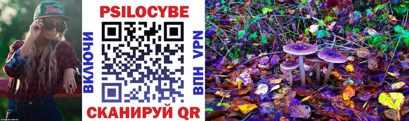 Псилоцибиновые грибы мухоморы  Кологрив 